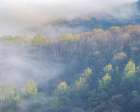 USA-Tennessee-Smokey Mountains National Park. Sunrise mist on mountain forest. Art Print